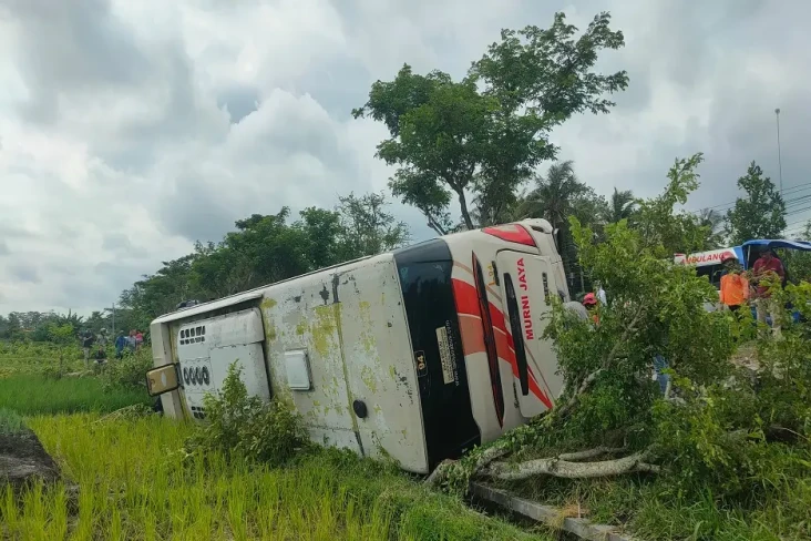 Bus Murni Jaya Terguling...