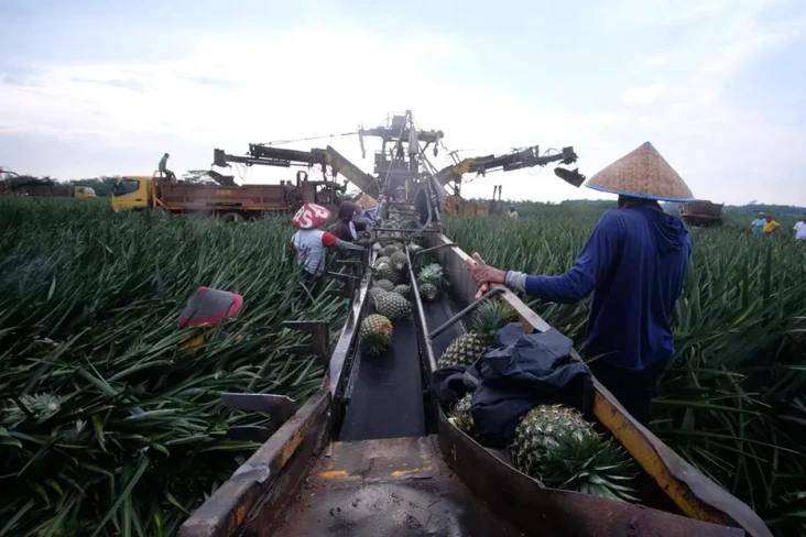 Impor Bibit dan Benih...