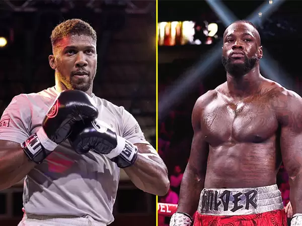 Deontay Wilder Calon...