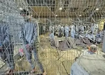 6 Tokoh Palestina yang...