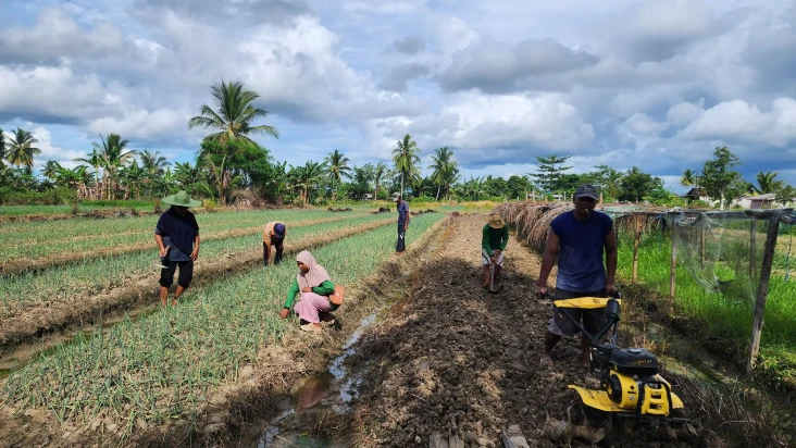 Cerita Petani di Merauke...