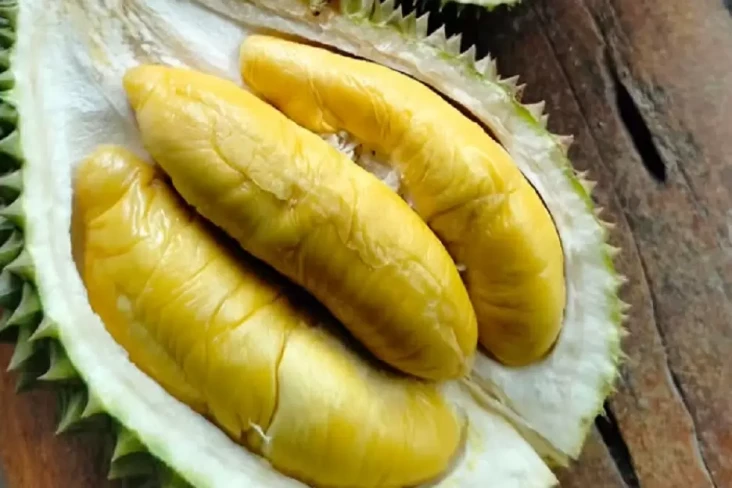 6 Makanan dan Minuman...