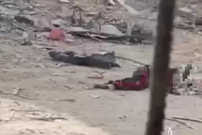 Sniper Israel Bunuh...