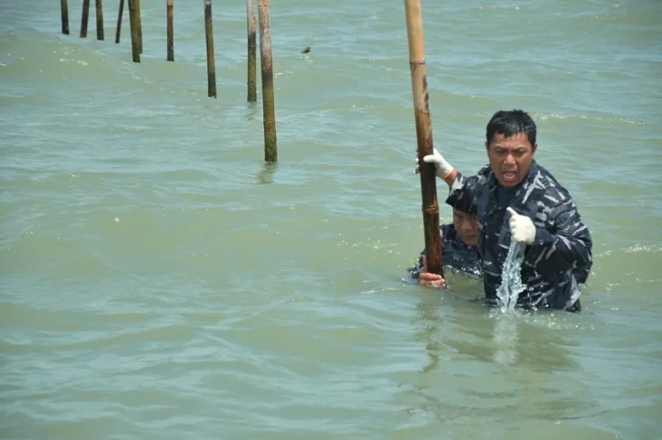 TNI AL Ungkap Progres...