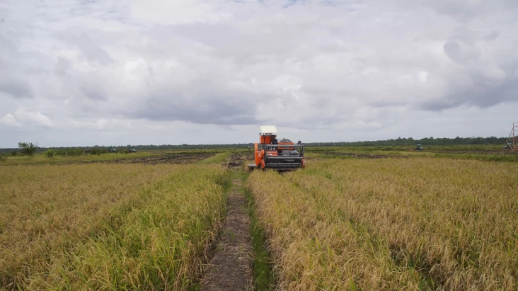 BPS: Periode Januari-Maret...