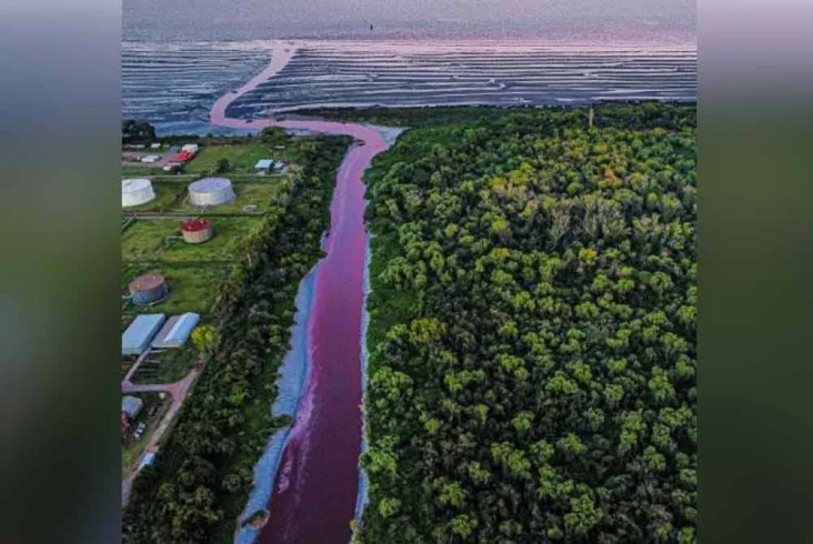 Air Kanal di Kota Argentina...