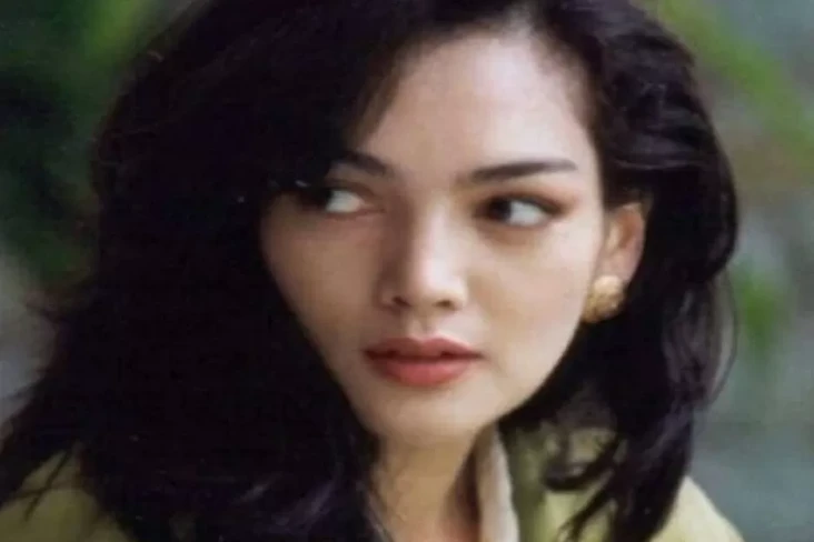 Perjalanan Karier Ida...