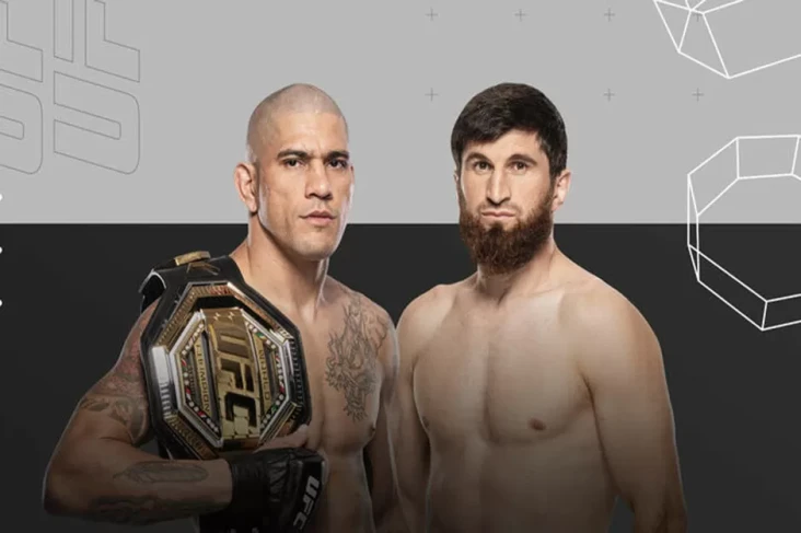 Alex Pereira vs Magomed...