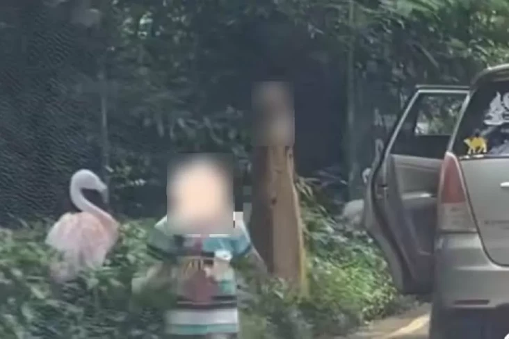 7 Fakta Viral Pengunjung...