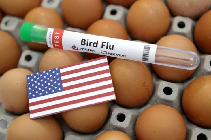 Flu Burung Merebak di...