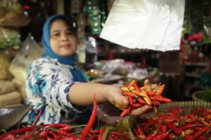 Mentan Amran Sebut Harga...