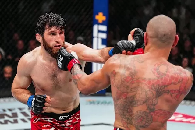Magomed Ankalaev Hancurkan...