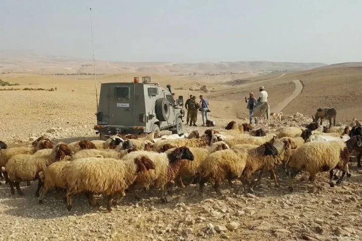 Pemukim Israel Curi...