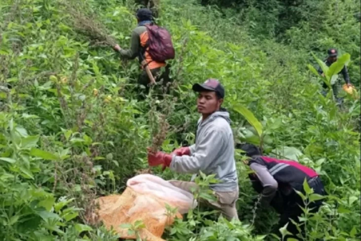 Pemilik 56 Lokasi Ladang...