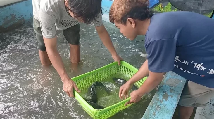 BRI Dorong UMKM Kota...