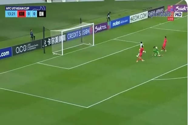 Hasil Timnas Indonesia...