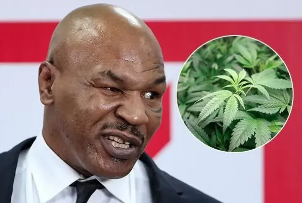 Kisah Mike Tyson dari...