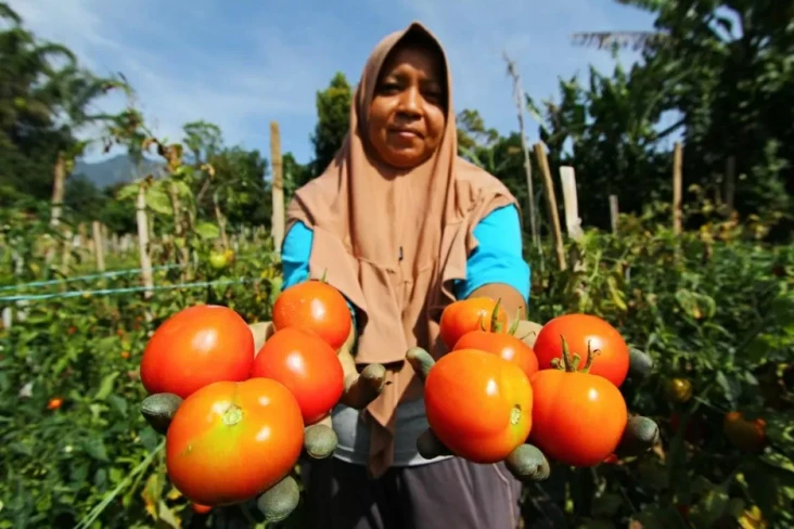 Lawan Cuaca Tak Menentu...