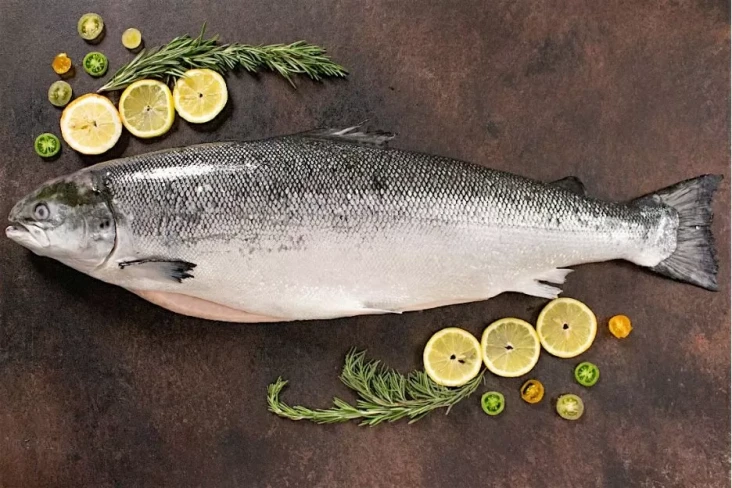 4 Ikan yang Boleh Dimakan...