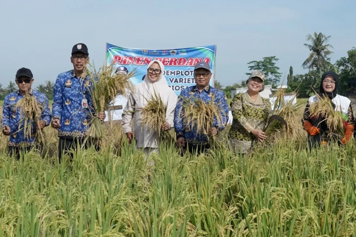 SIG Dorong Pertanian...