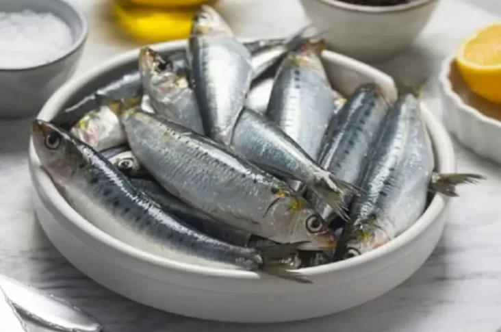5 Fakta Ikan Sarden,...