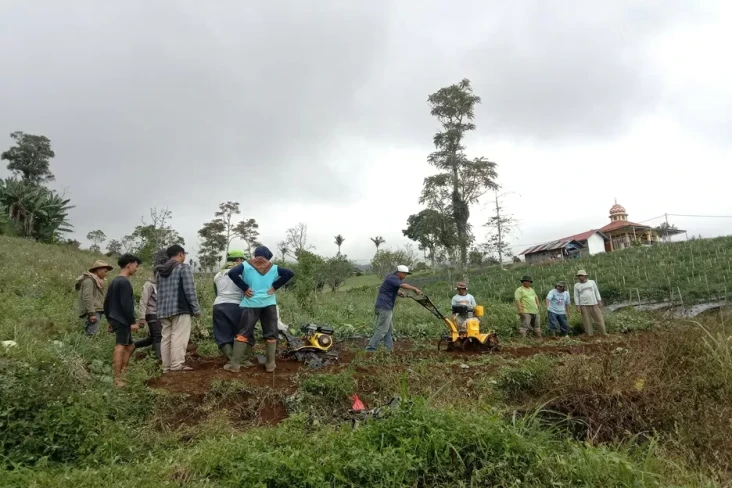 Petani Pandai Sikek...