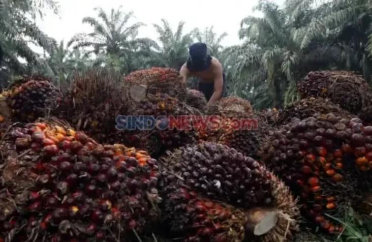 BPDP Bantu Anak Petani...