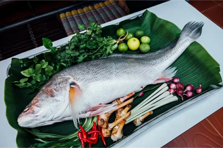 7 Ikan yang Menyehatkan...