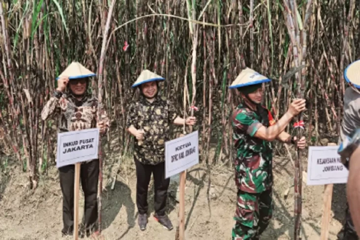 Petani Tebu di Budugsidorejo...