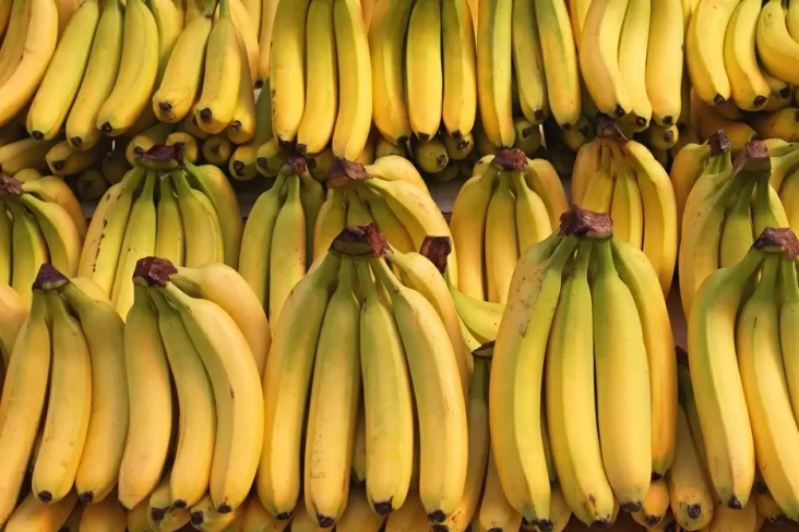 12 Jenis Pisang Terbaik...