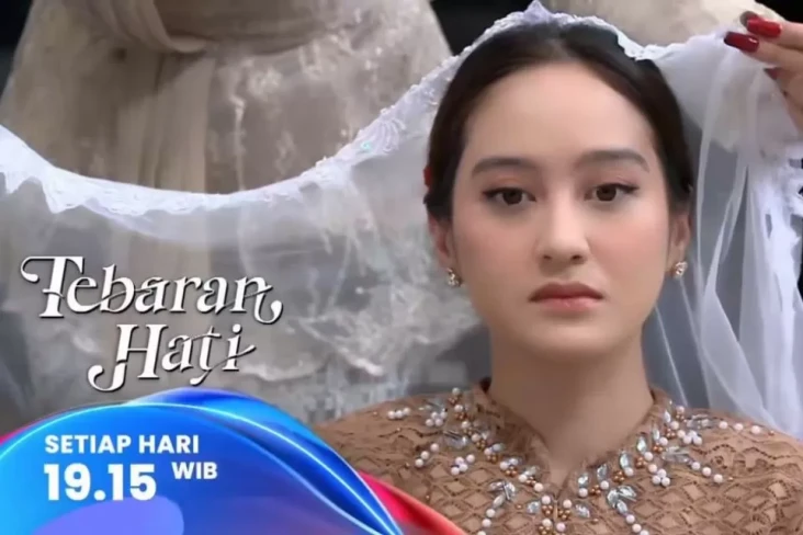 Sinopsis Layar Drama...