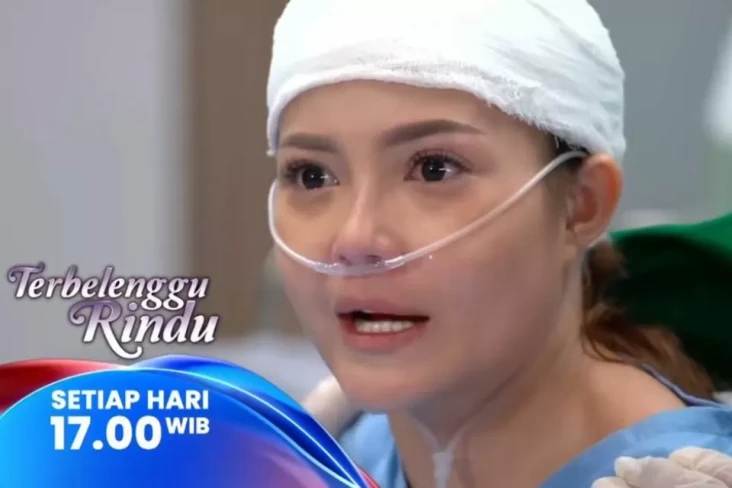 Sinopsis Layar Drama...