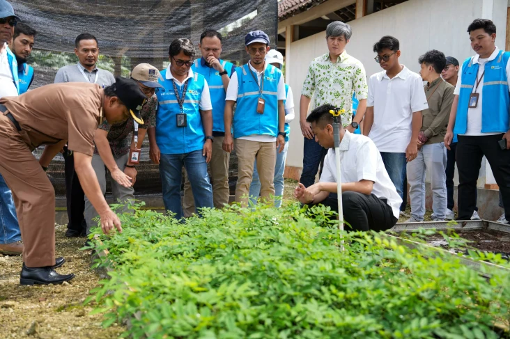 PLN EPI dan Keraton...