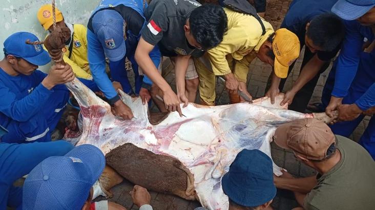 Terima Daging Kurban...