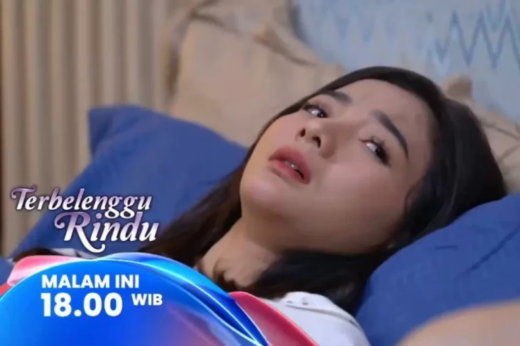 Sinopsis Layar Drama...