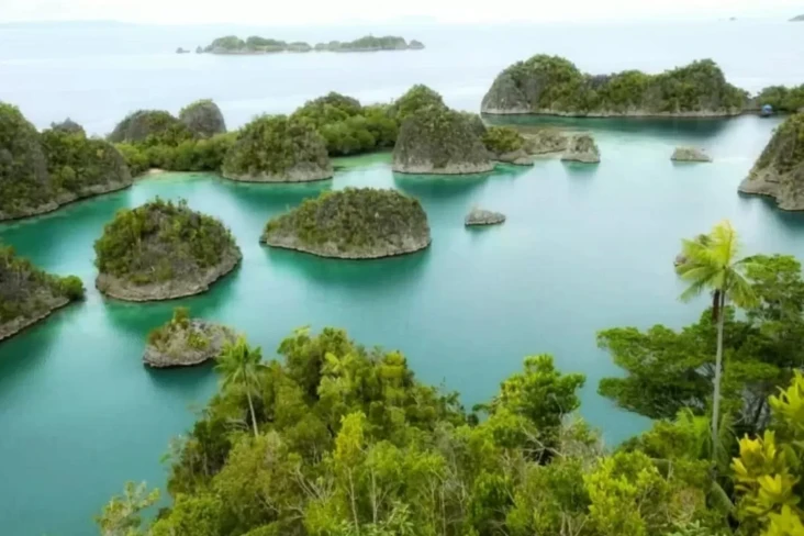 Raja Ampat Diambang...