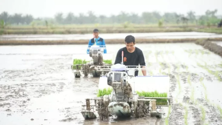 Kementan Dorong Forwatan...