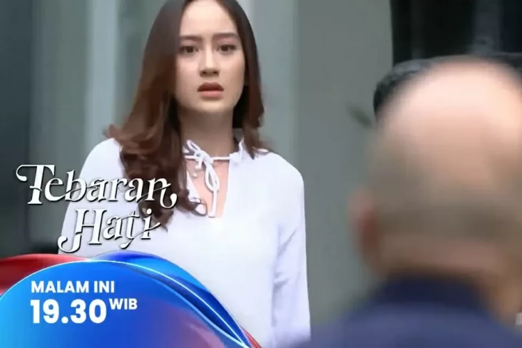Sinopsis Layar Drama...