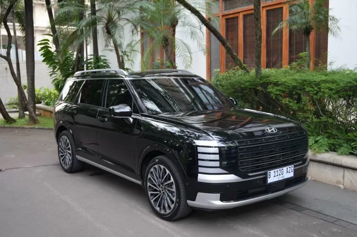 Palisade Hybrid Tiba,...