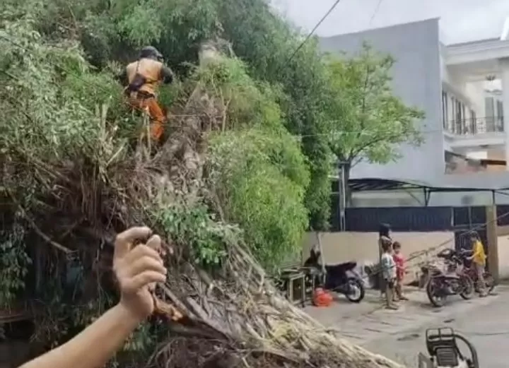 Update Dampak Angin...