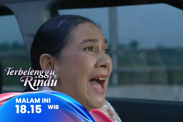 Sinopsis Layar Drama...