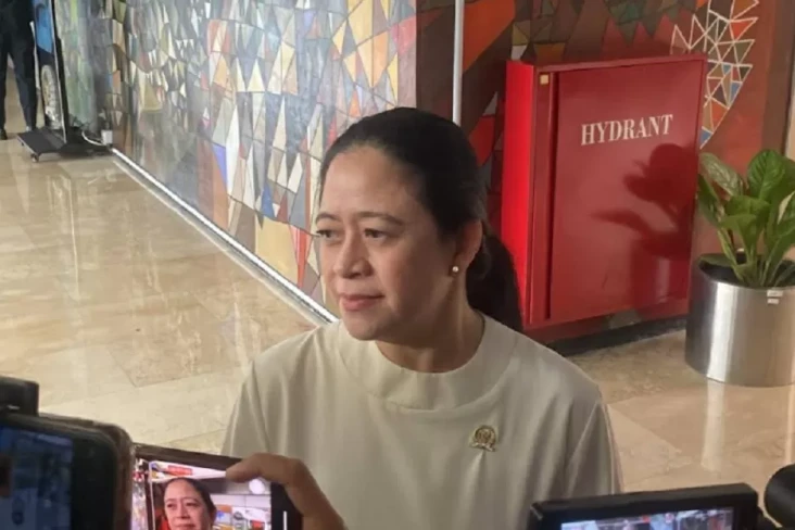PDIP Kaji Putusan MK...