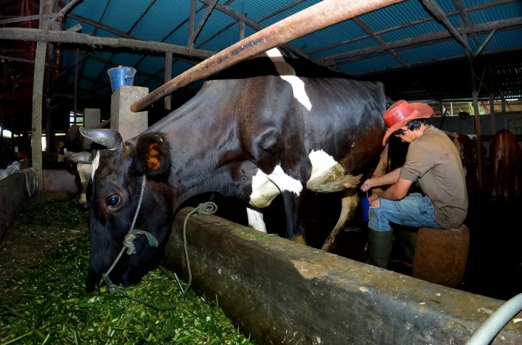 Tingkatkan Produksi,...