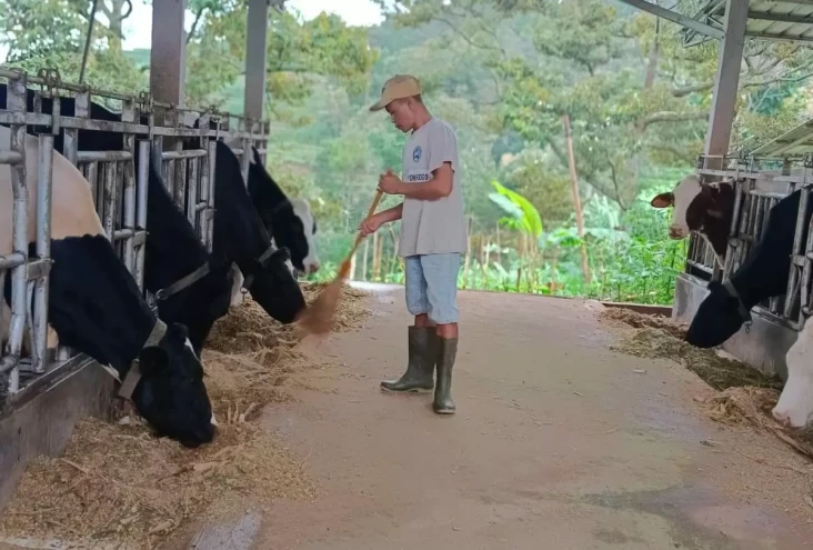 Klaster Susu Mulya Abadi...