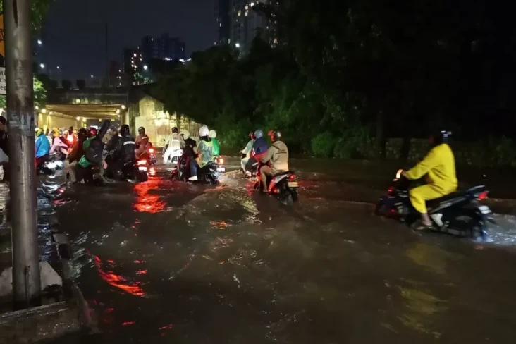 Ungkap Pemicu Banjir,...