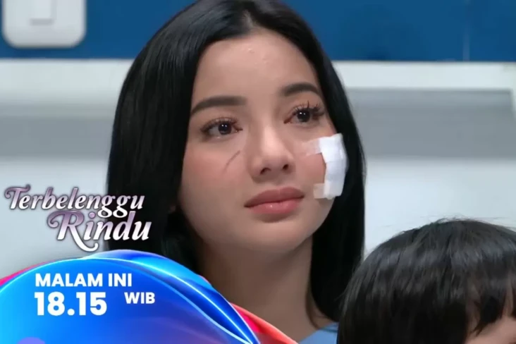 Sinopsis Layar Drama...