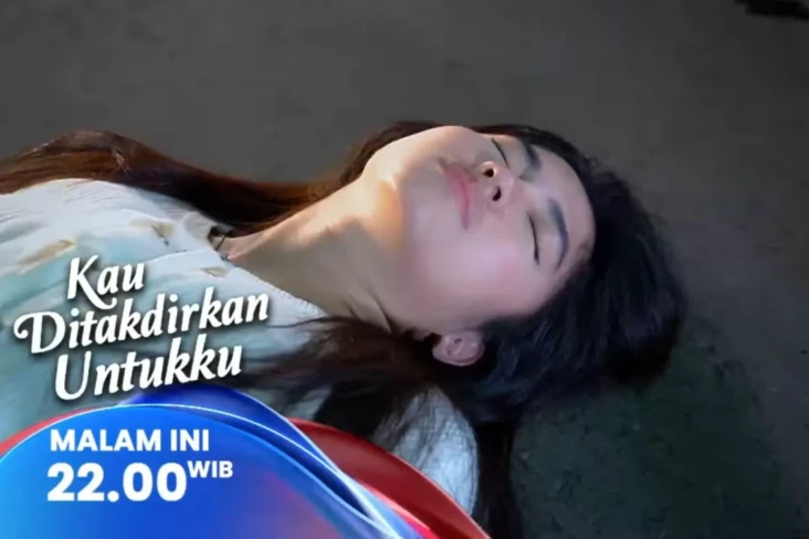 Sinopsis Layar Drama...
