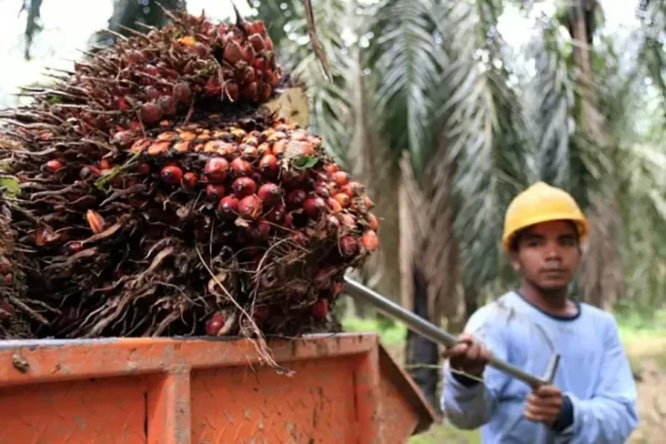 Sebelum Terapkan Zero...