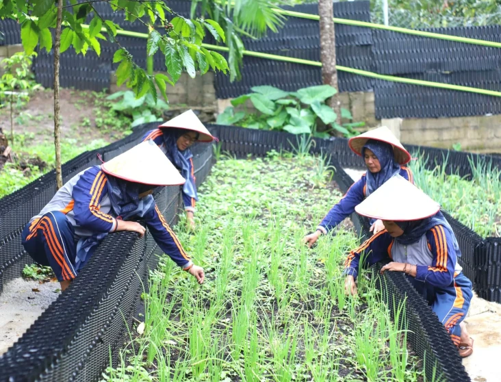 Program Hortikultura...