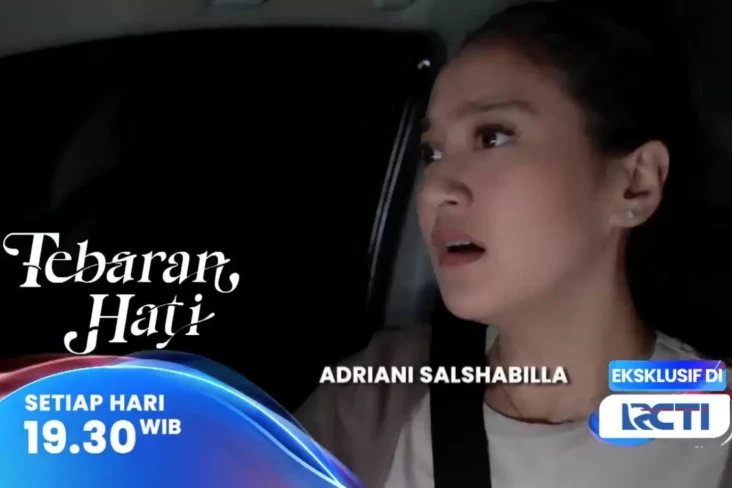 Sinopsis Layar Drama...